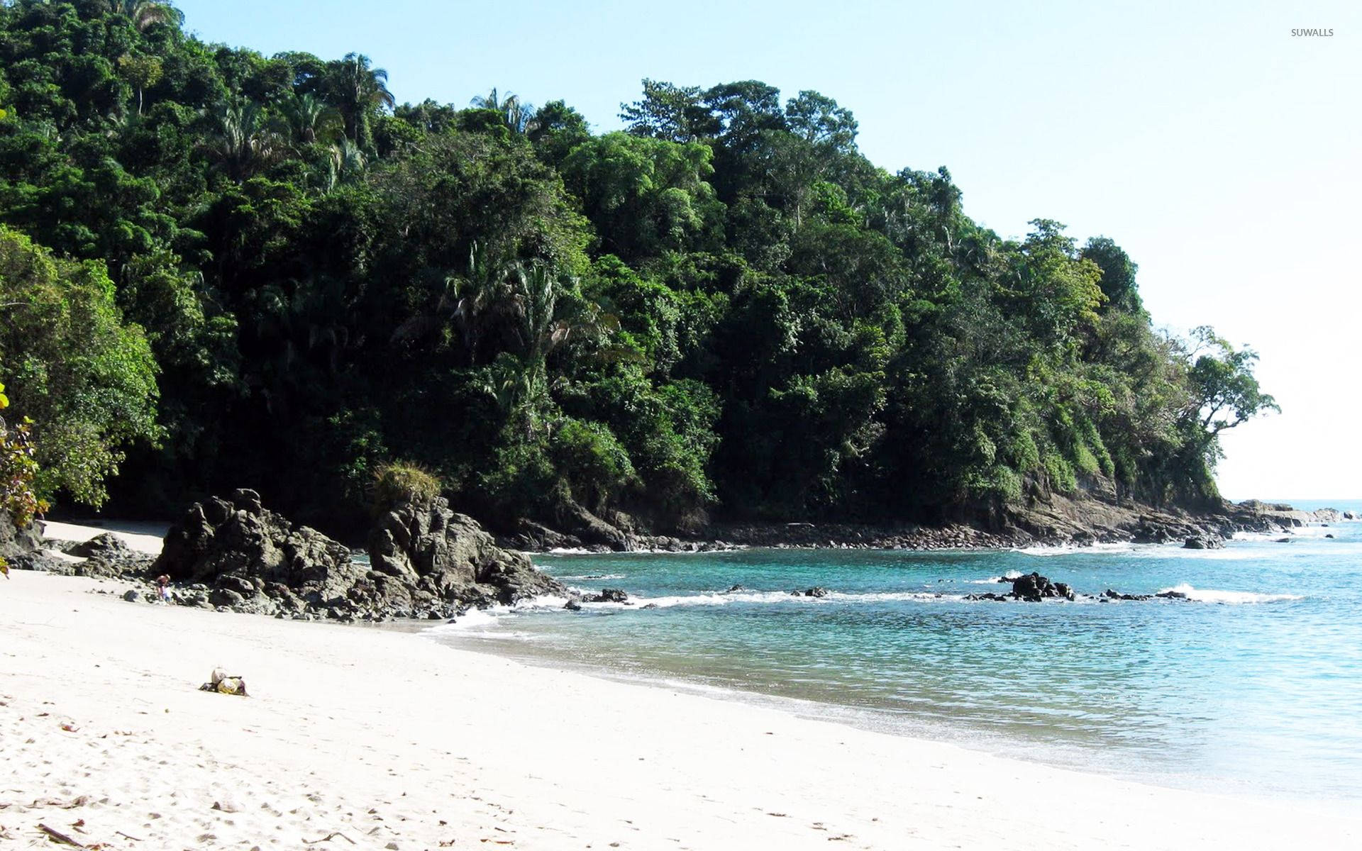 Manuel Antonio Beach Costa Rica Background