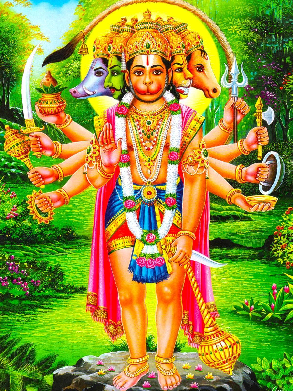 Many Arms And Heads Hanuman Art Background