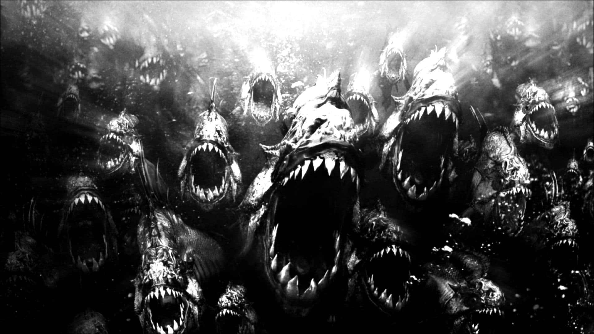 Many Scary Shark Monochrome Background