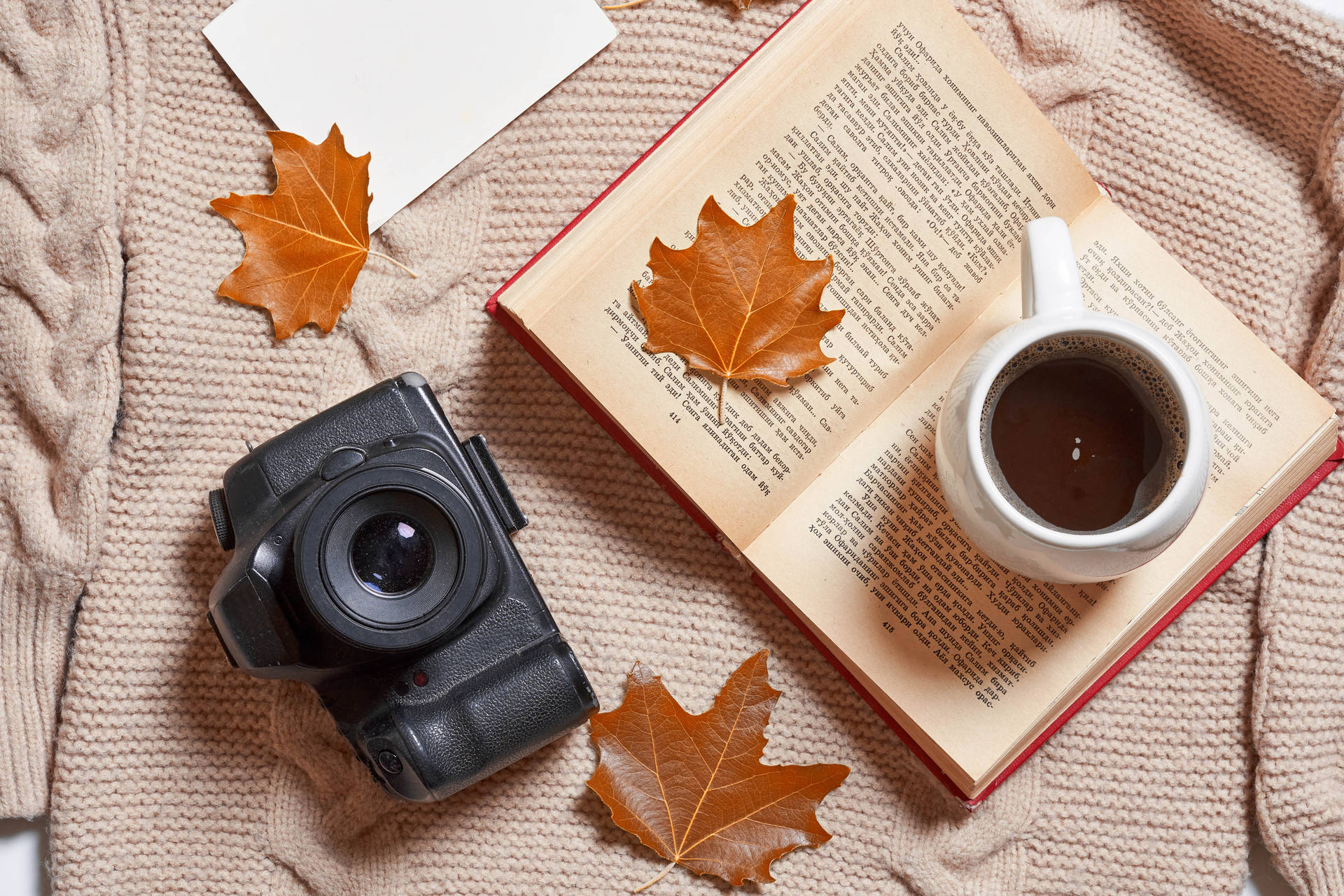 Maple Leaves Aesthetic Book Desktop