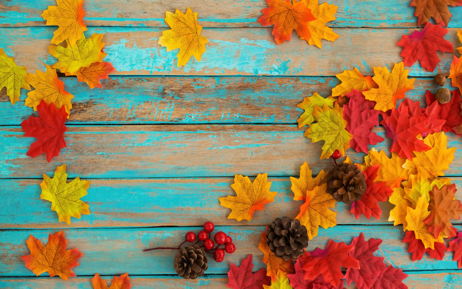 Maples Leaves And Acorns