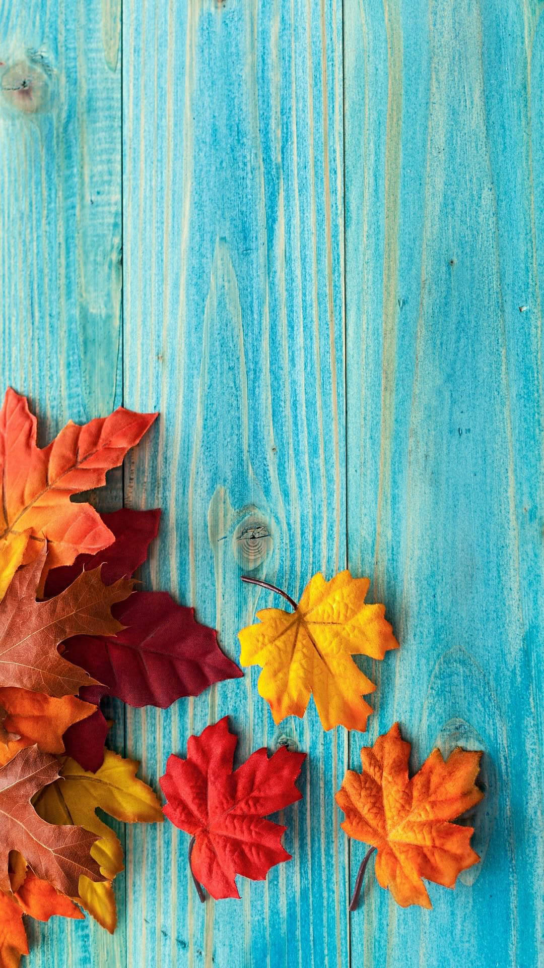 Maples Leaves On Blue Wood Background