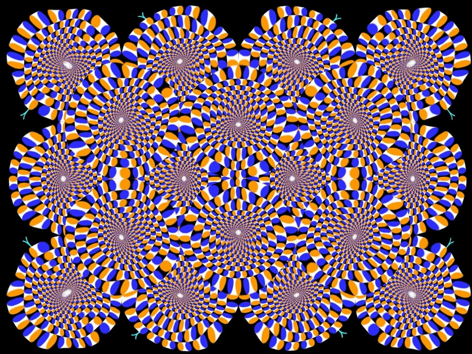 Mapped Fractals Cool Optical Illusions Background