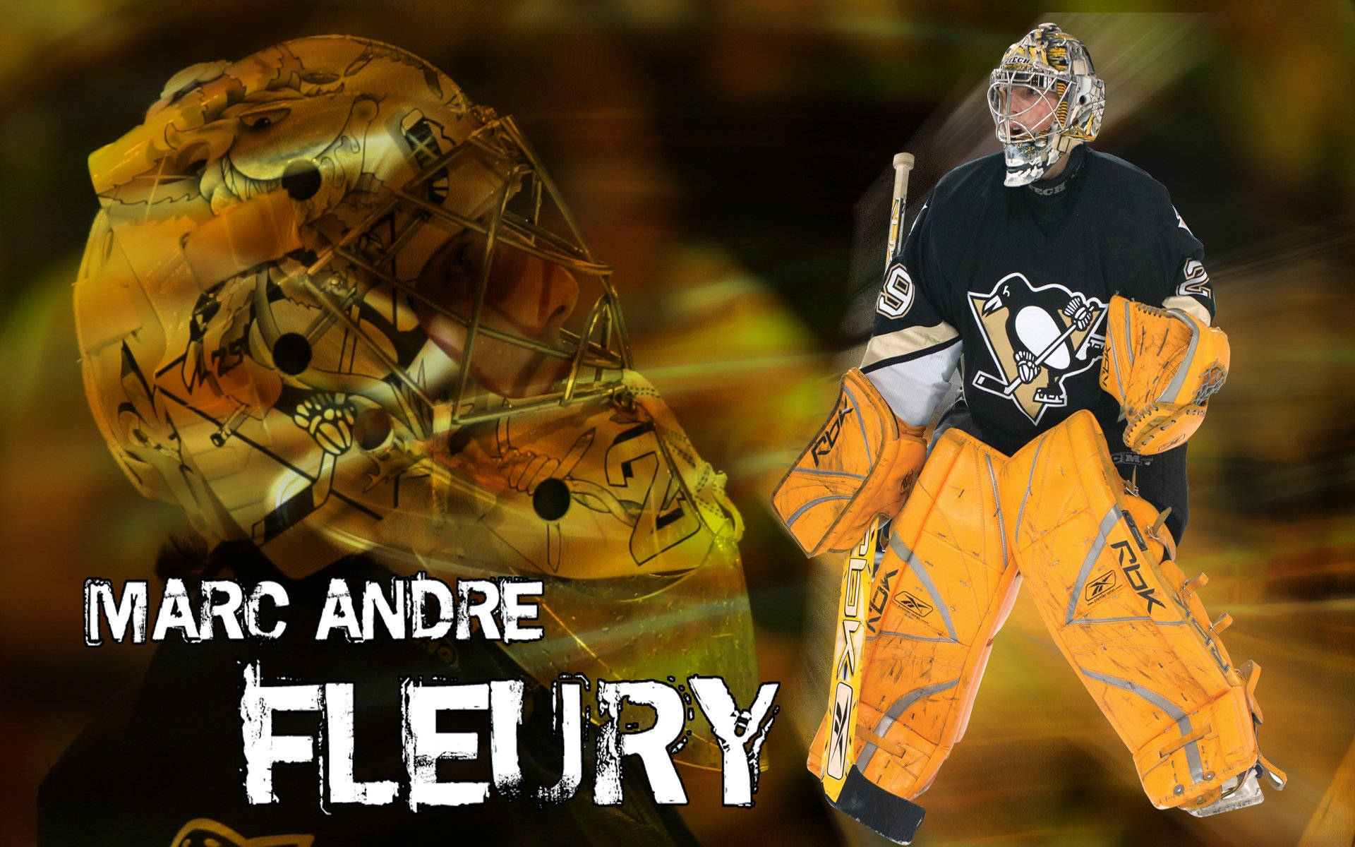 Marc Andre Fleury Canadian Goaltender Background