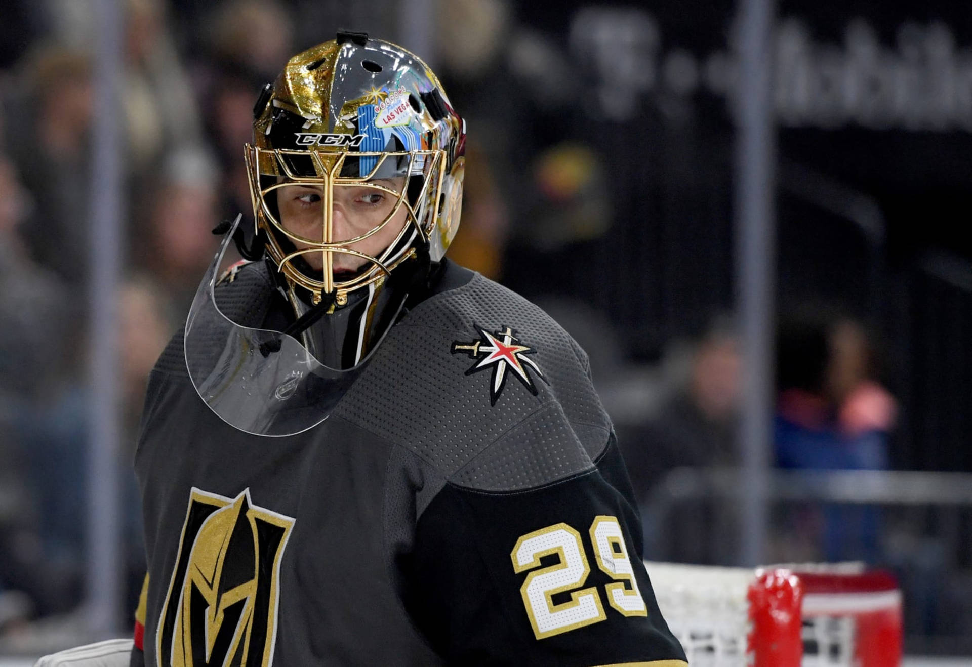 Marc-andre Fleury Ice Hockey Goaltender Background