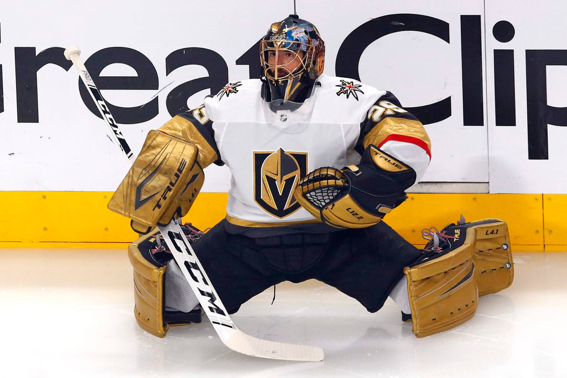 Marc-andre Fleury Nhl Goaltender Background