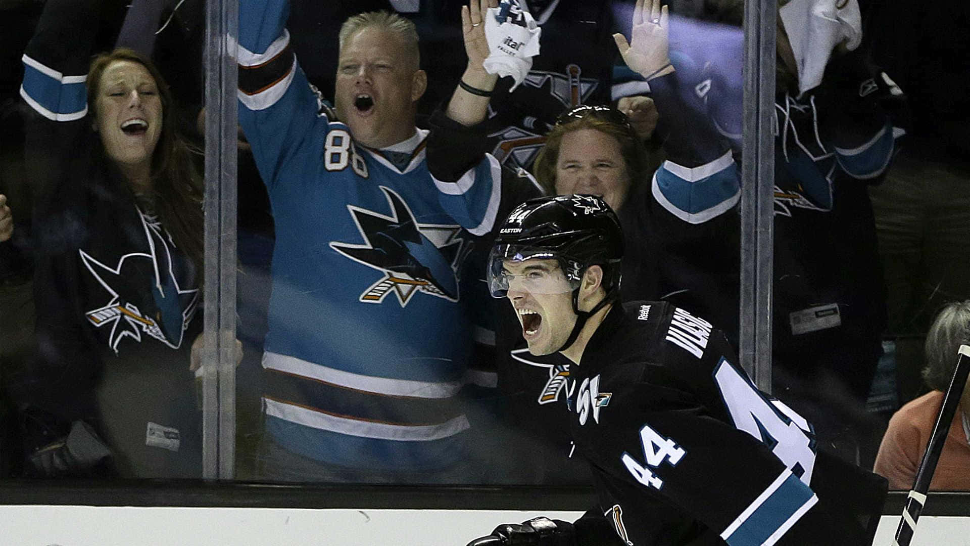 Marc Edouard Vlasic San Jose Shark Defenseman Background