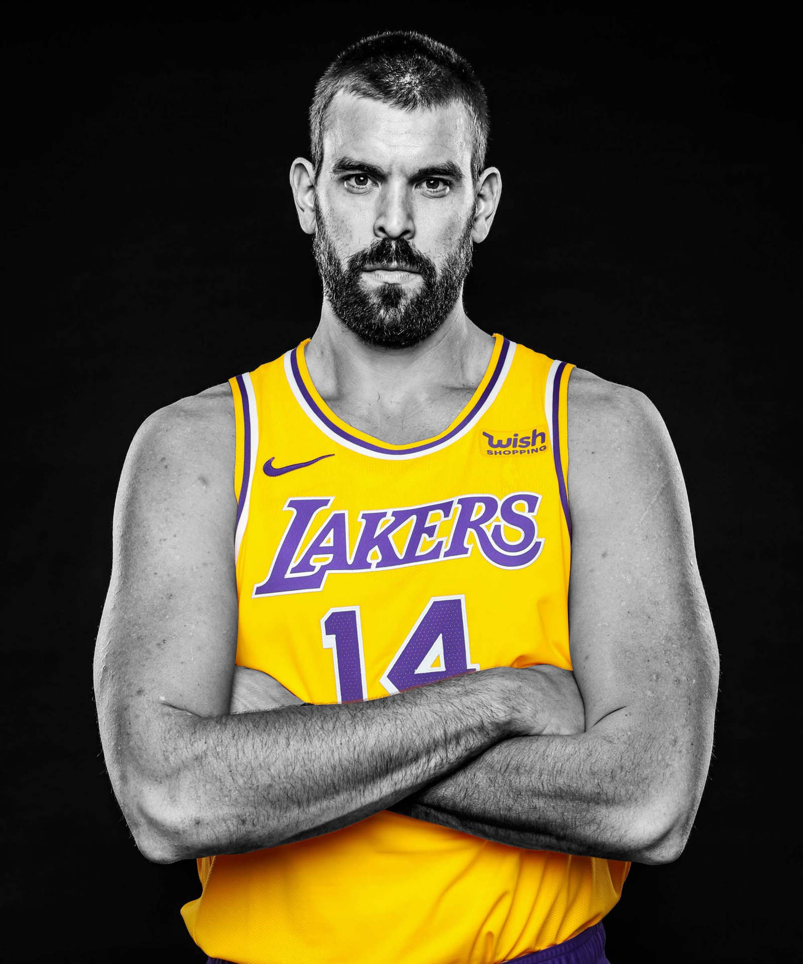 Marc Gasol Lakers Portrait Background