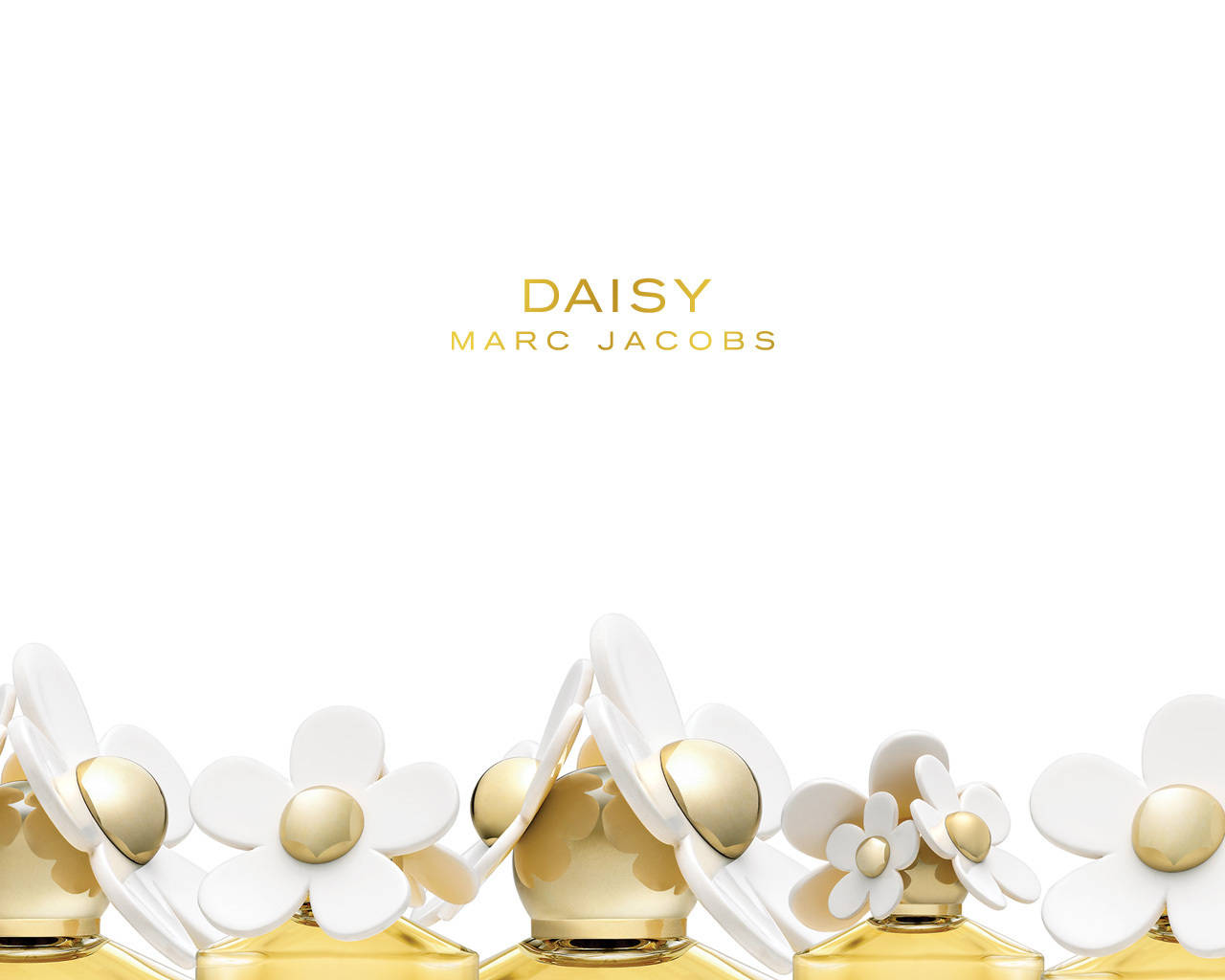 Marc Jacobs White & Gold Daisy Variant Background
