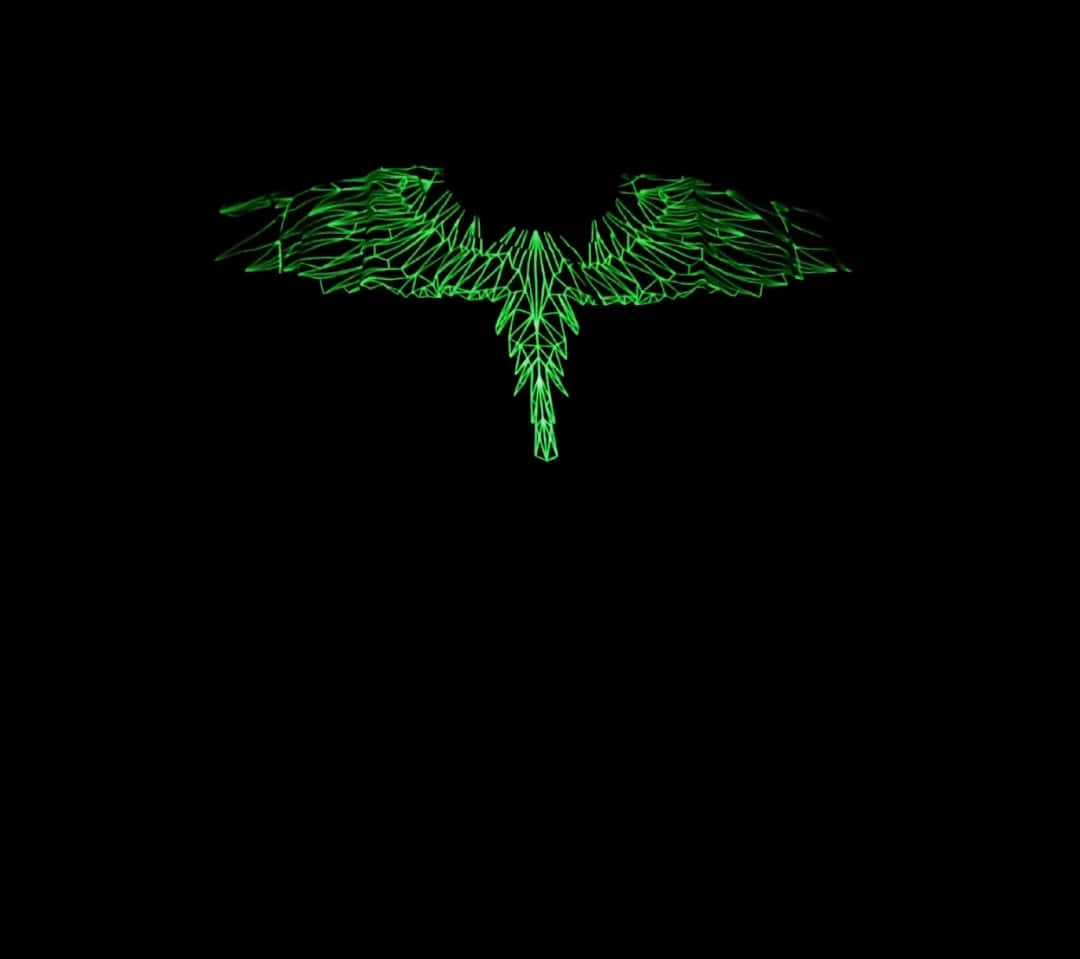 Marcelo Burlon Glowing Green Wings Background