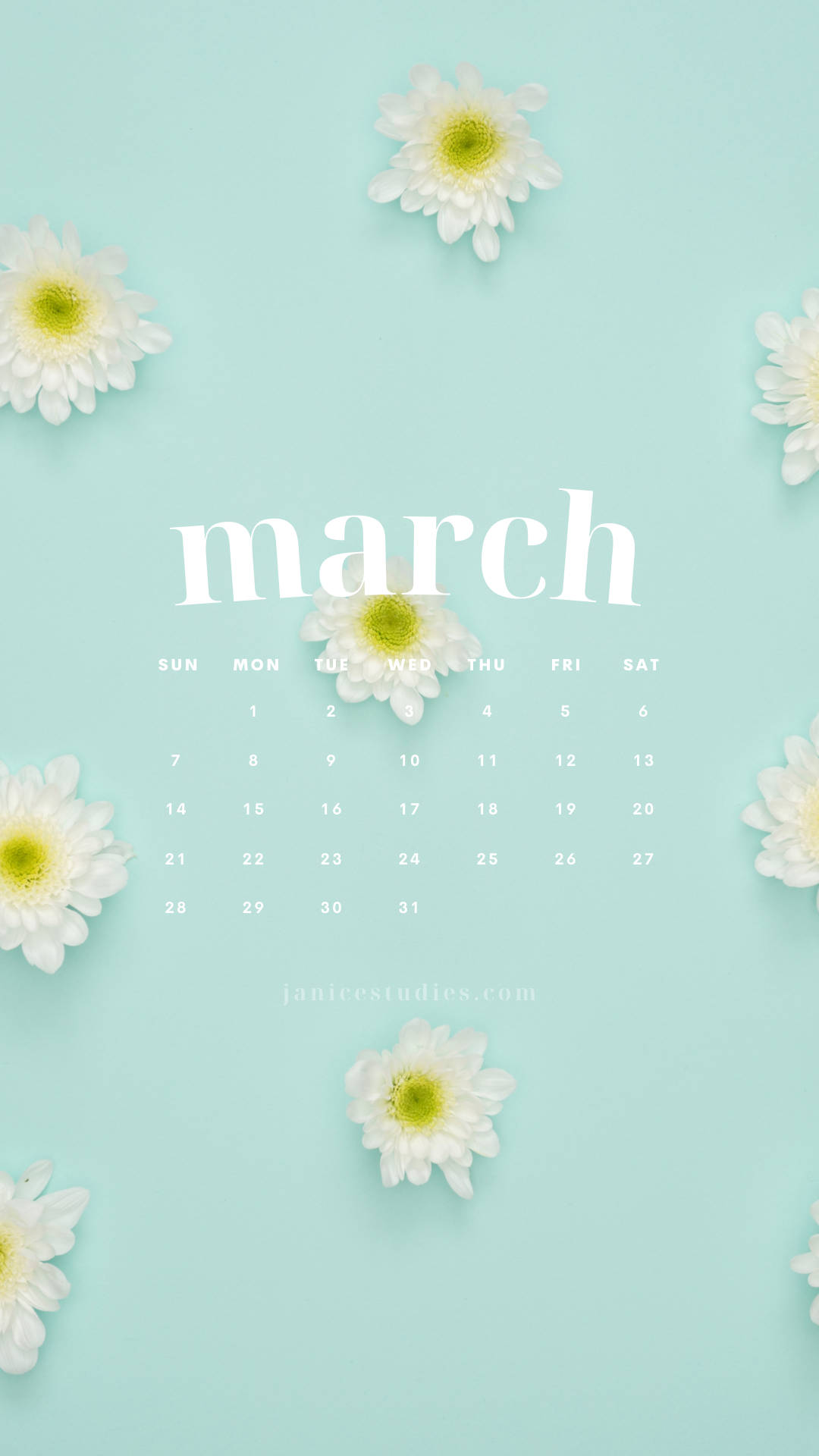 March Calendar With Daisies Background