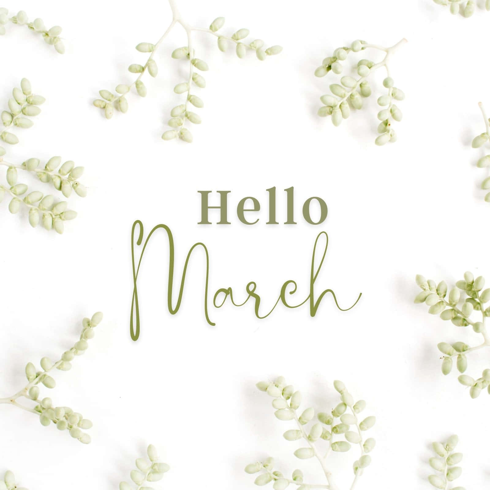 March - Welcome The Time Of New Beginnings