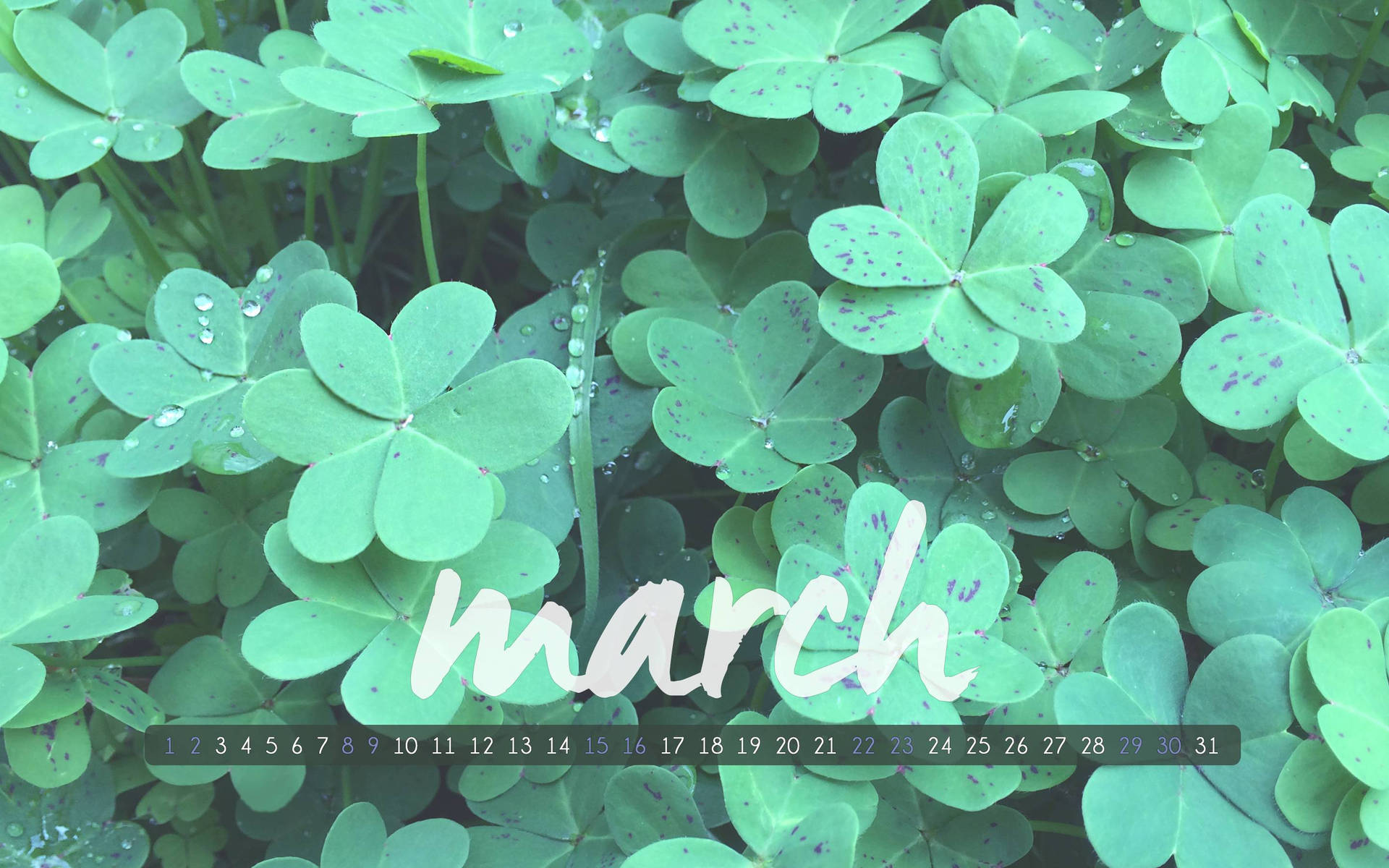 March With Clover Leaves Background