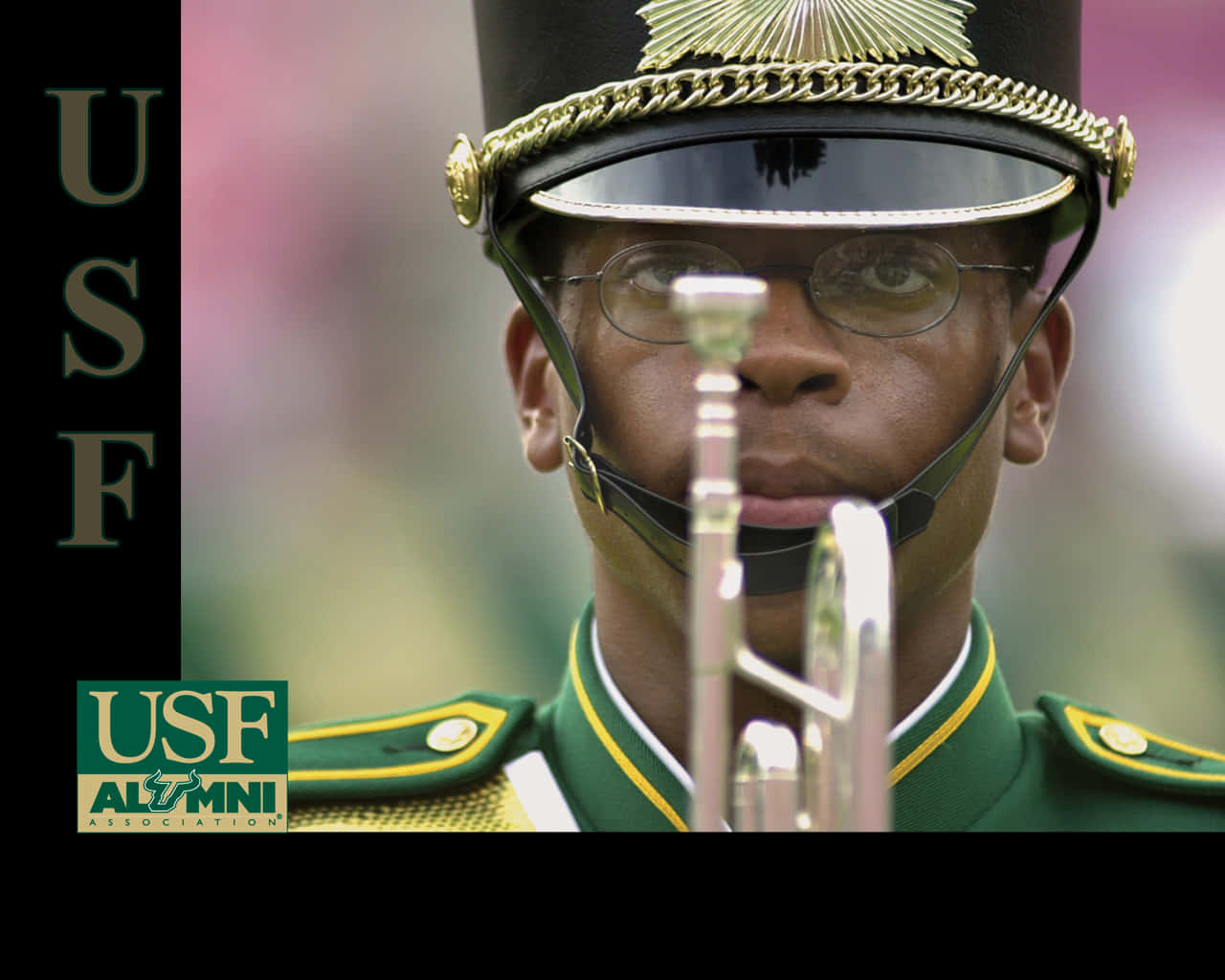 Marching Band Of The University Of South Florida At An Alumni Event Background