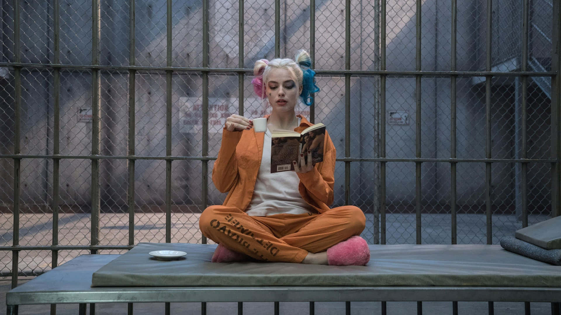 Margot Robbie As Harley Quinn In All-female Adaptation Ofsuicide Squad