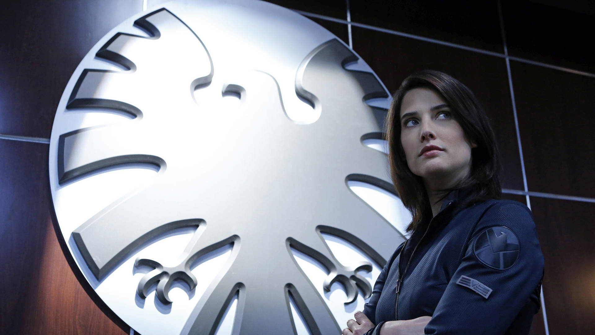 Maria Hill - A Notable Character In Agents Of Shield Background