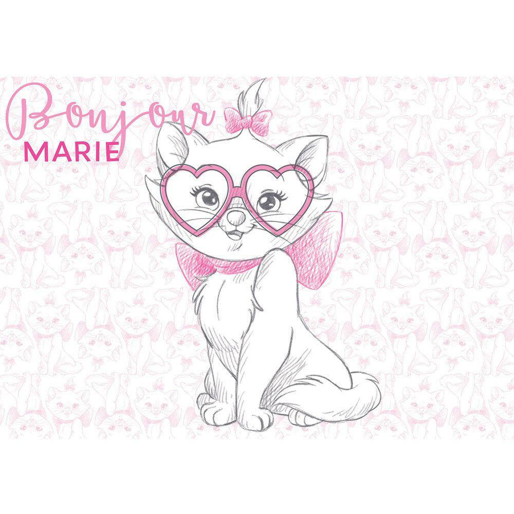 Marie Cat Bonjour Background