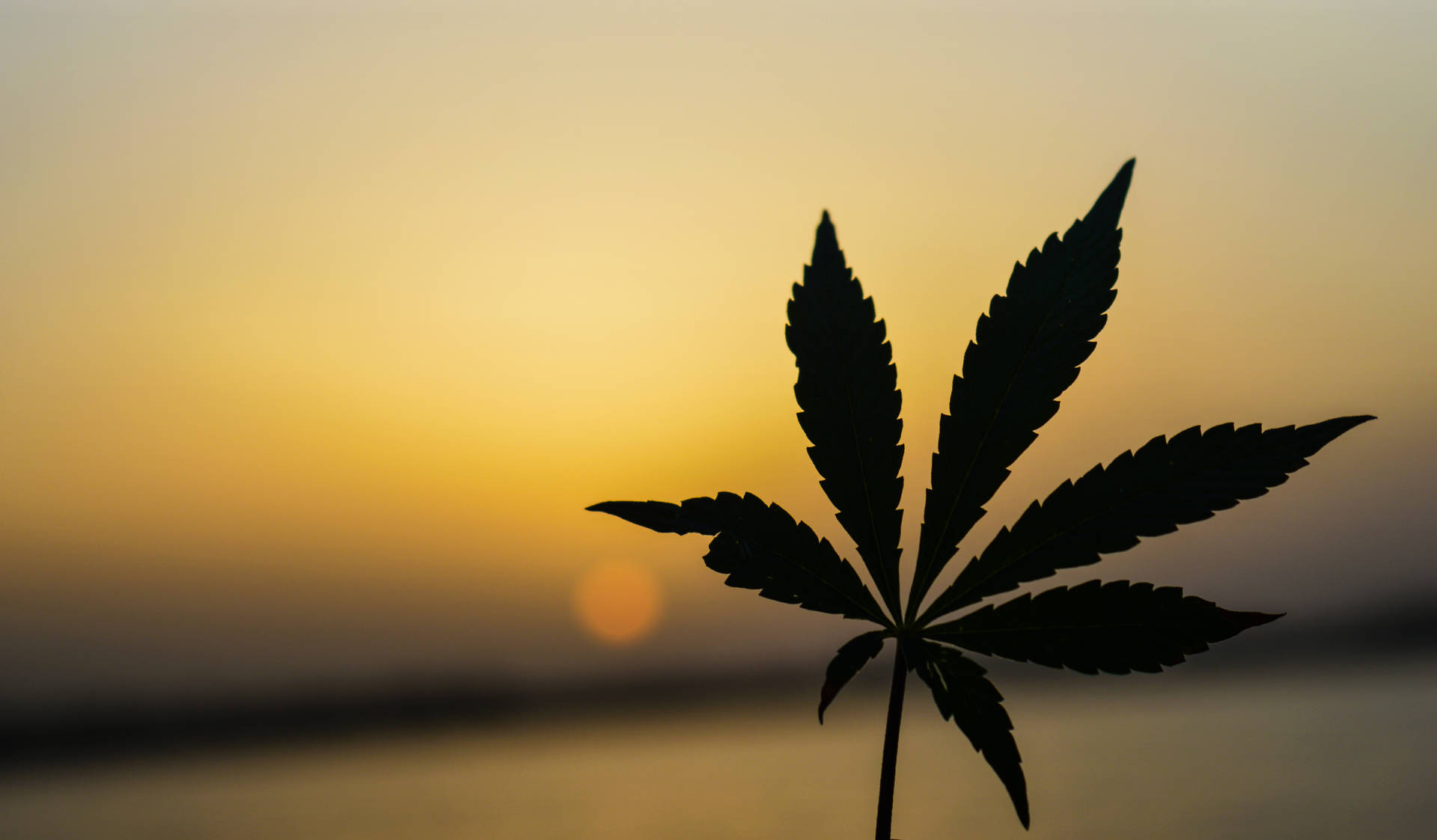 Marijuana And Sunset Background