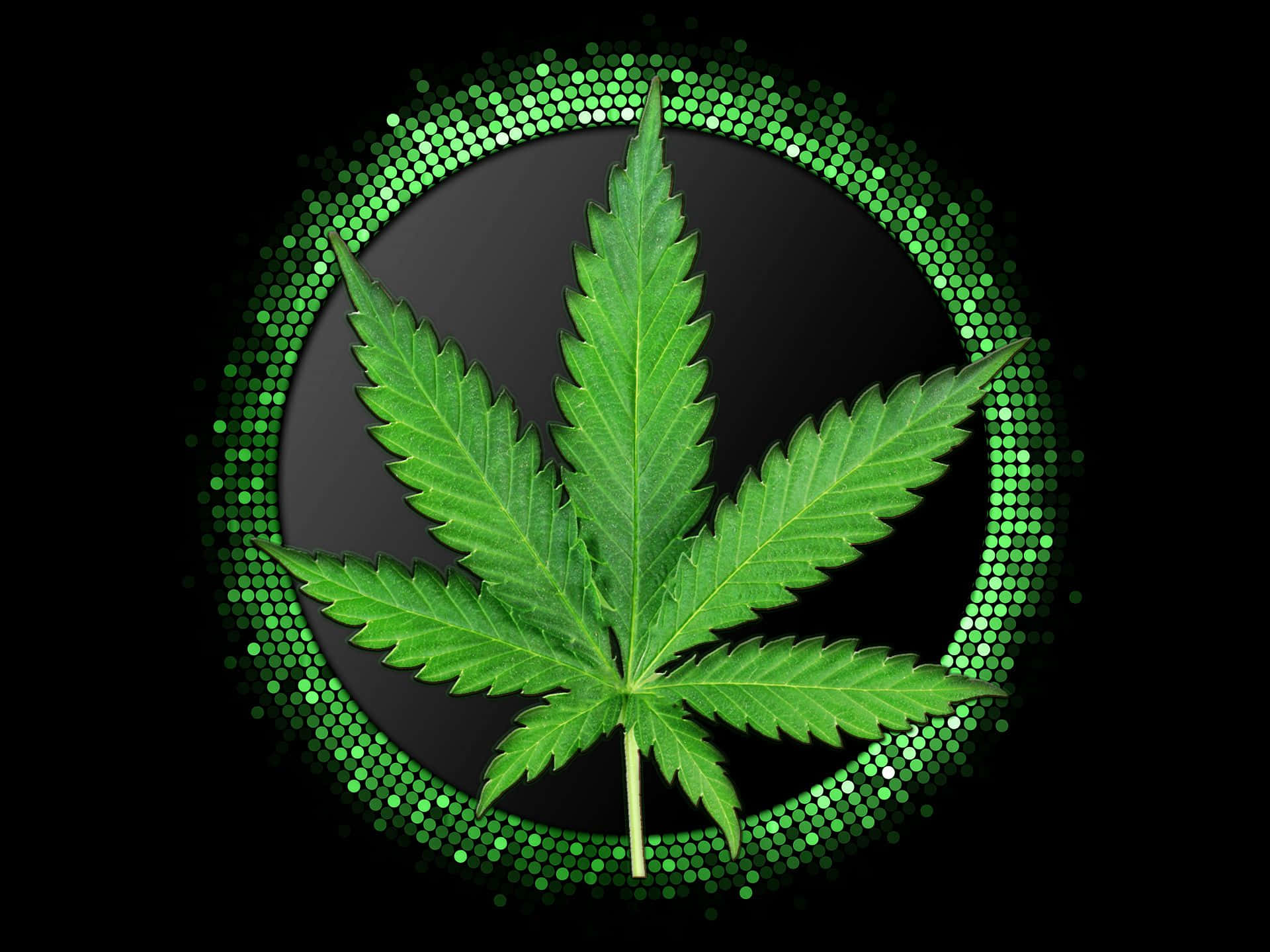 Marijuana Leaf Surrounded By Green Circles Background
