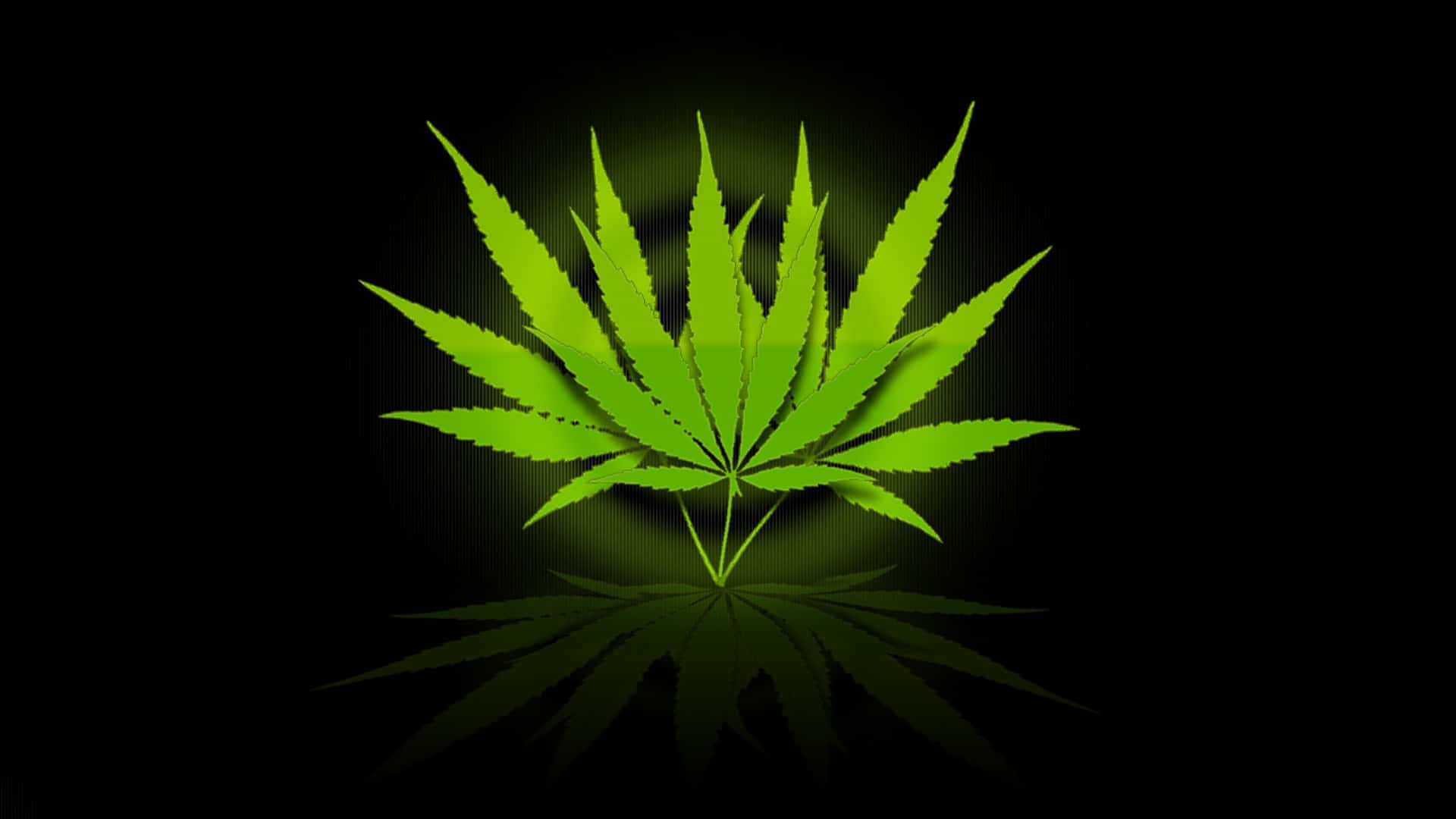 Marijuana Leaf With Circle Ring Background