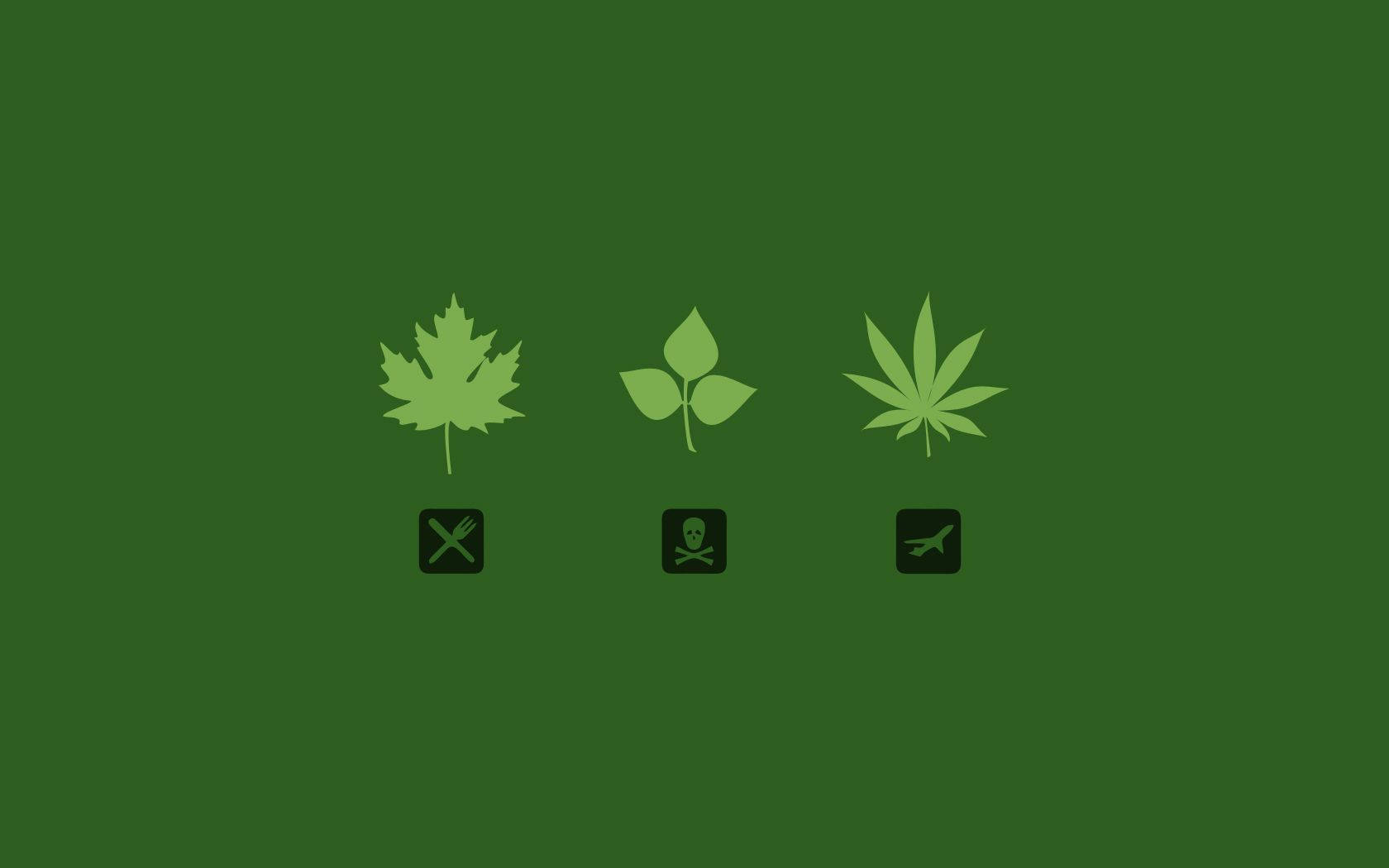 Marijuana Vector Artwork Background