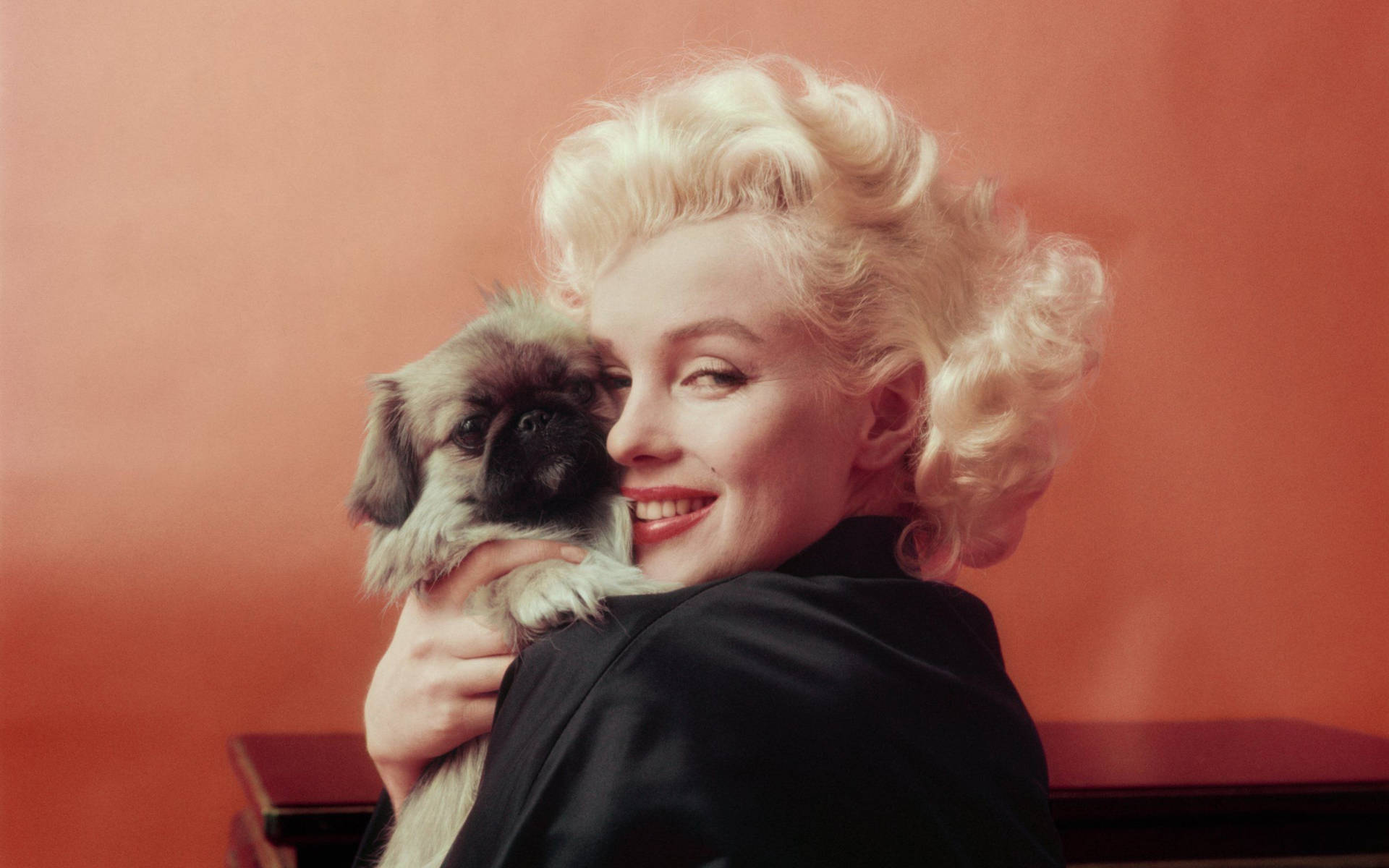 Marilyn Monroe With Small Dog Background
