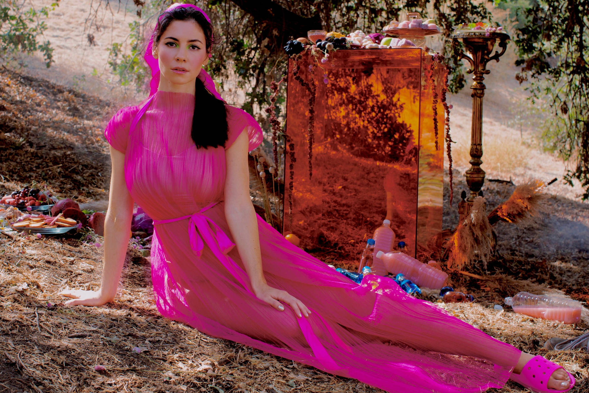 Marina And The Diamonds Pink