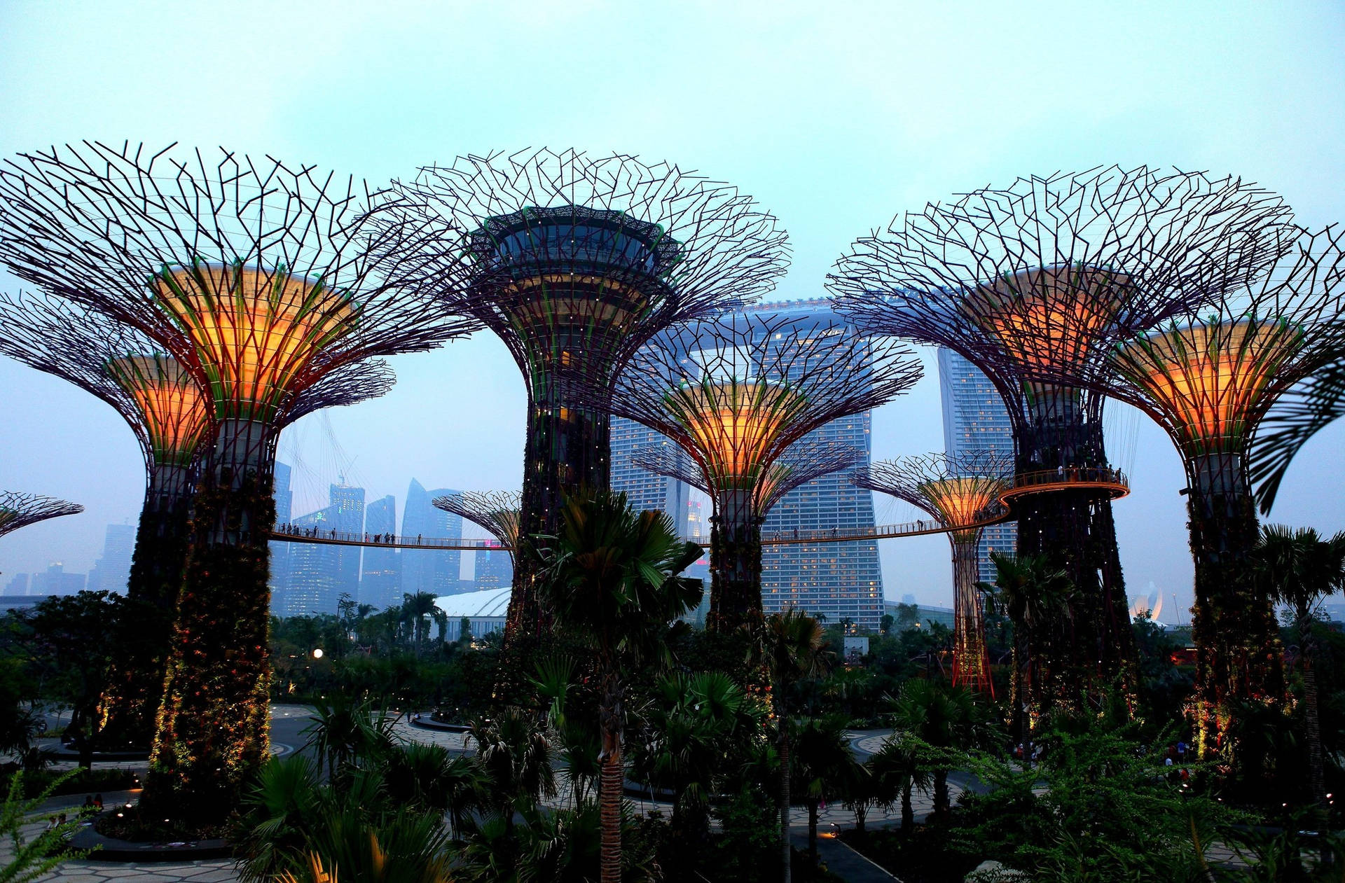 Marina Bay Sands Flowers Blocking Background