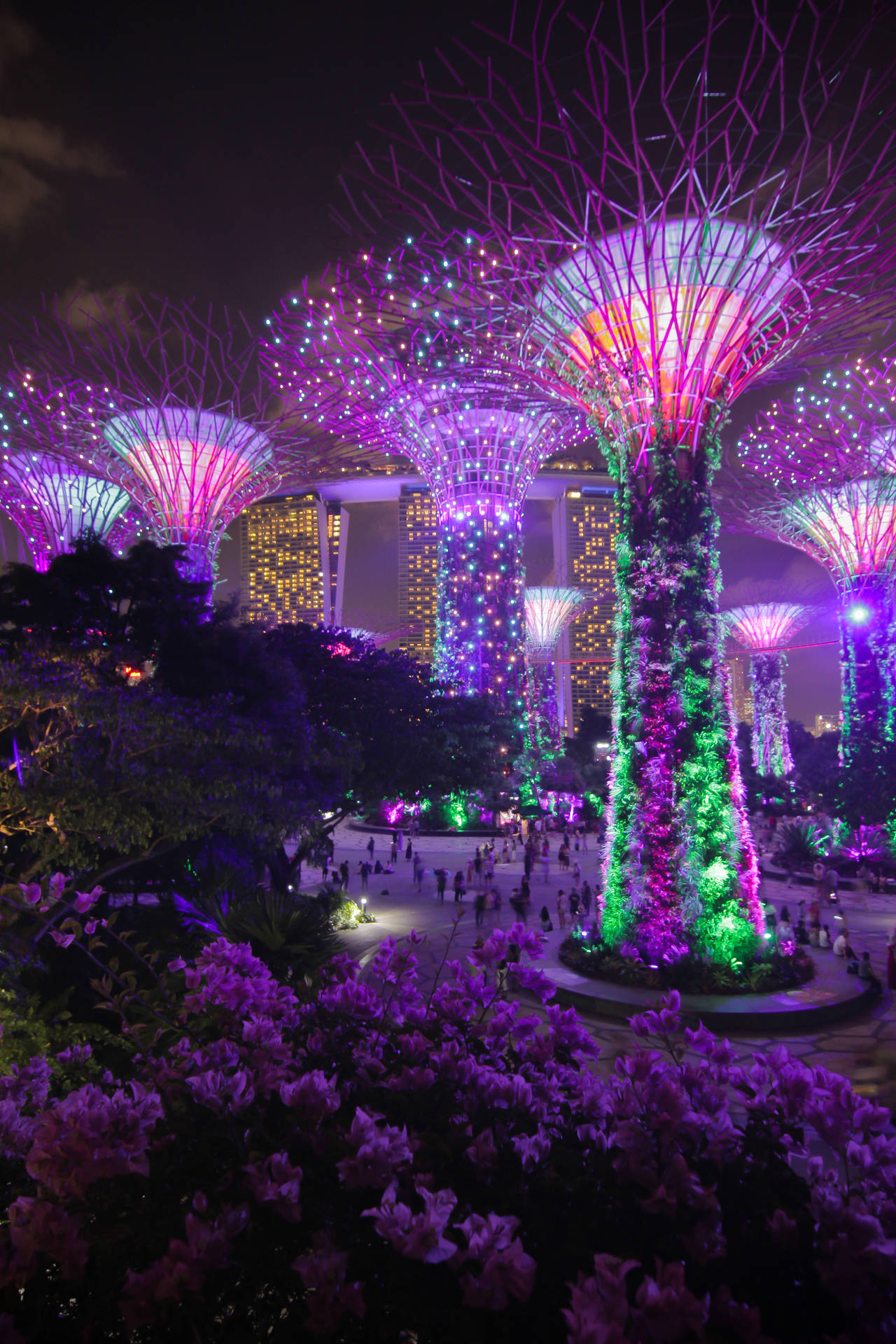 Marina Bay Sands Gardens Night Background