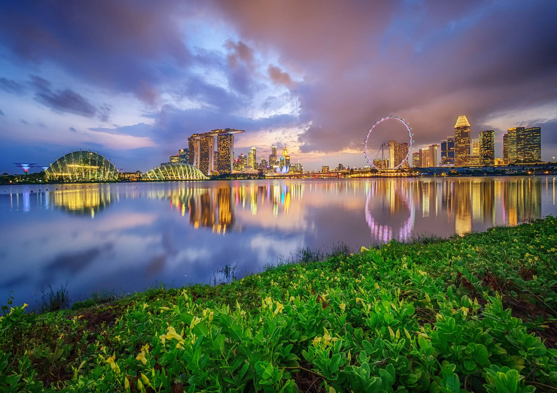 Marina Bay Sands Water Plants Across Background