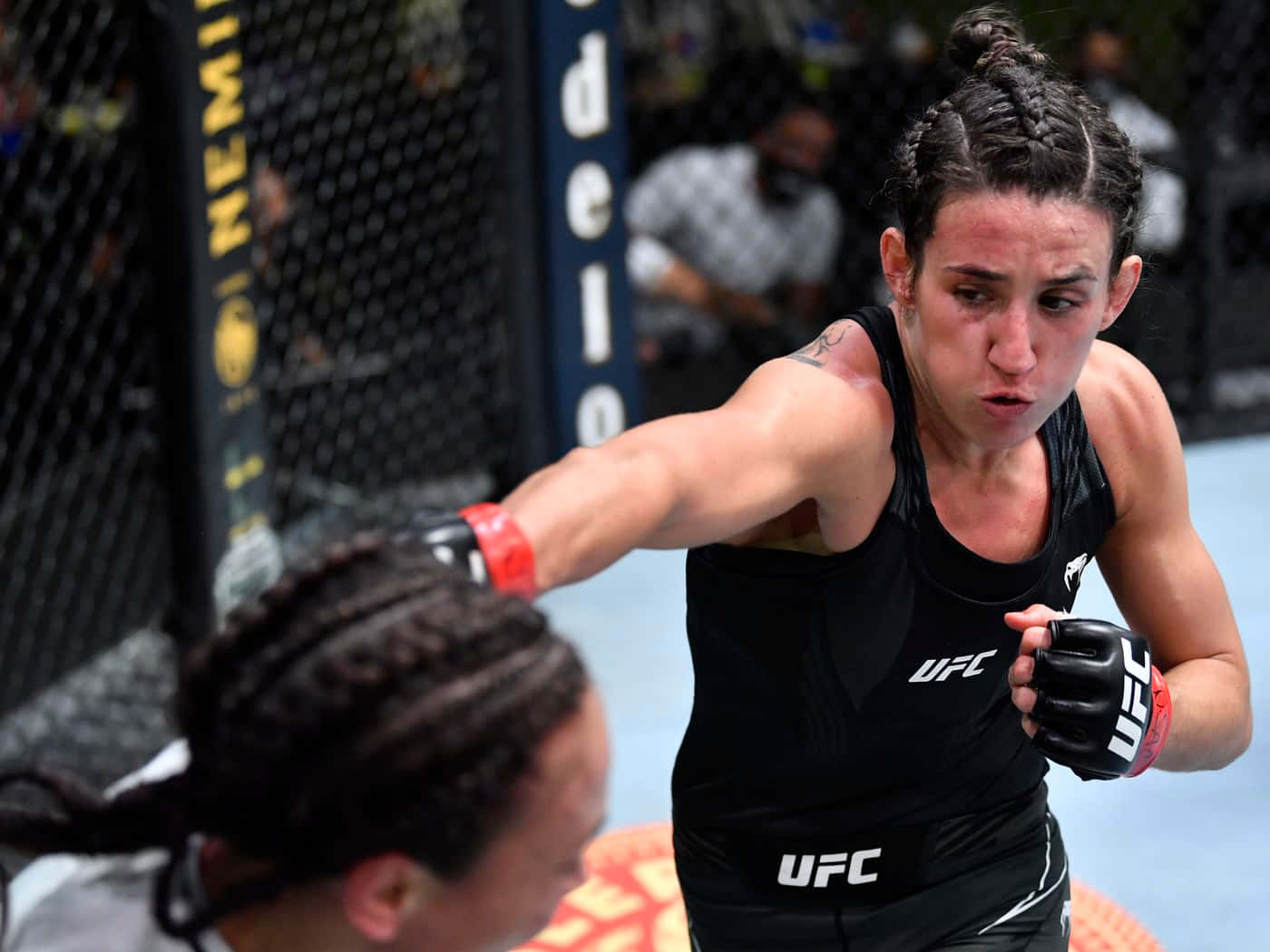 Marina Rodriguez Fights Background