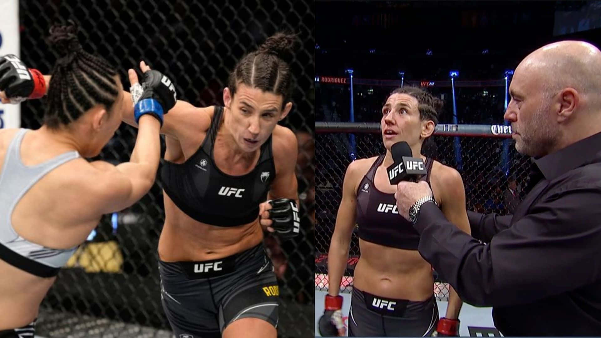Marina Rodriguez Fights Background