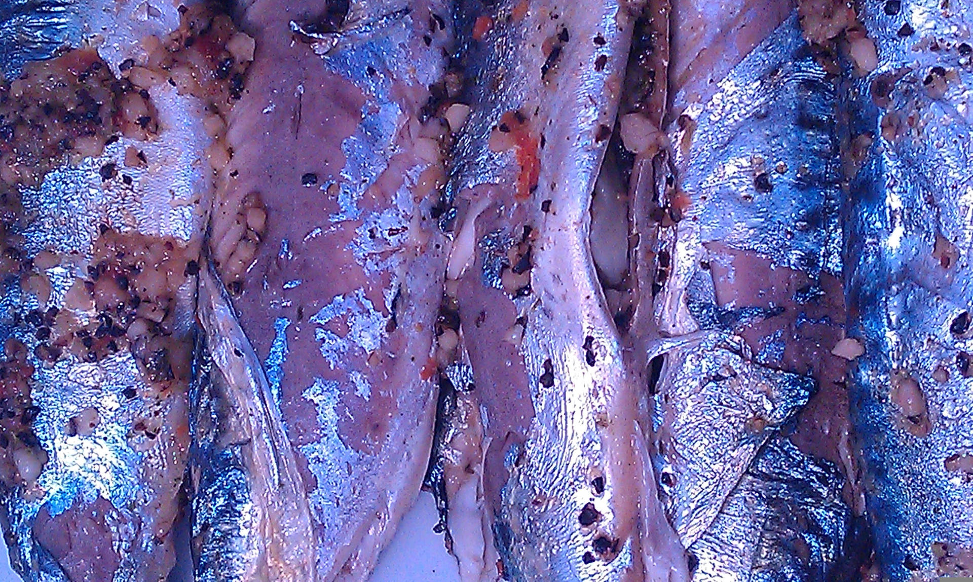 Marinated Mackerel Fishes