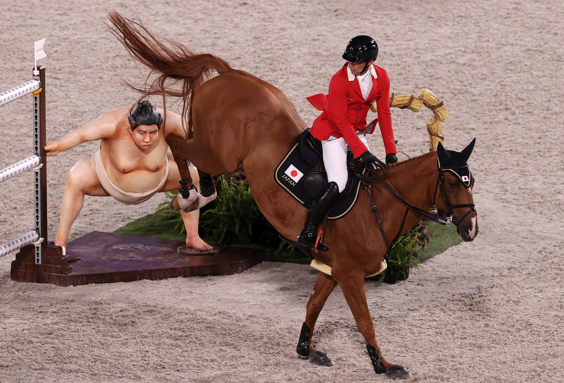 Mario Deslauriers Canadian Equestrian Jumper Background