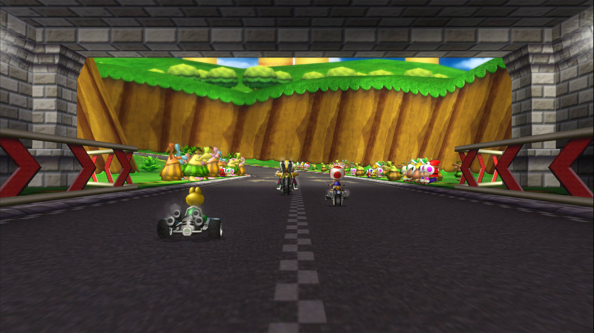 Mario Kart Wii Racing Game