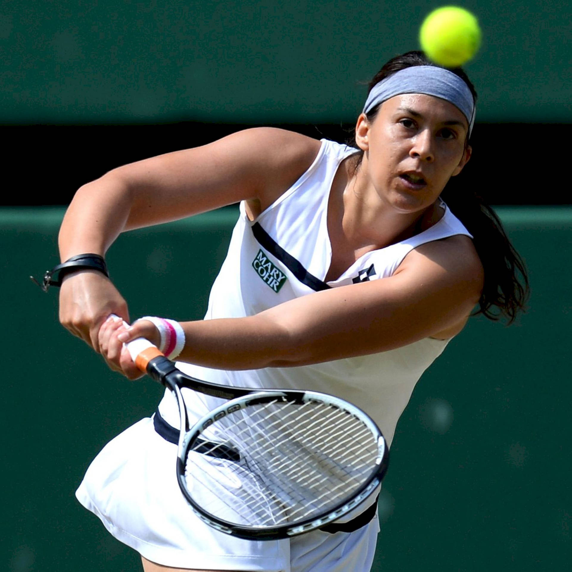 Marion Bartoli Double-handed Stroke Background