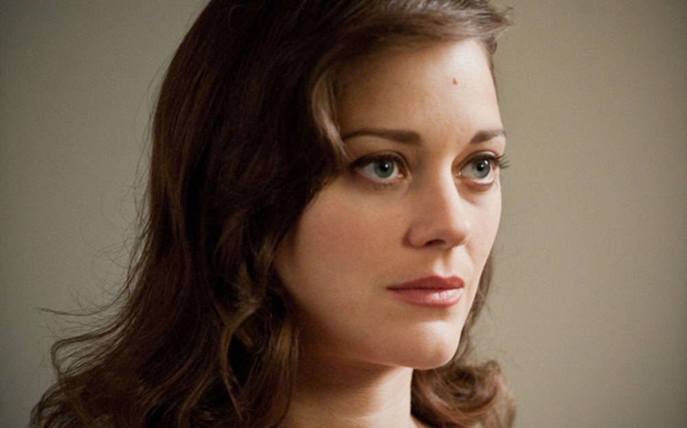 Marion Cotillard Brunette Hair