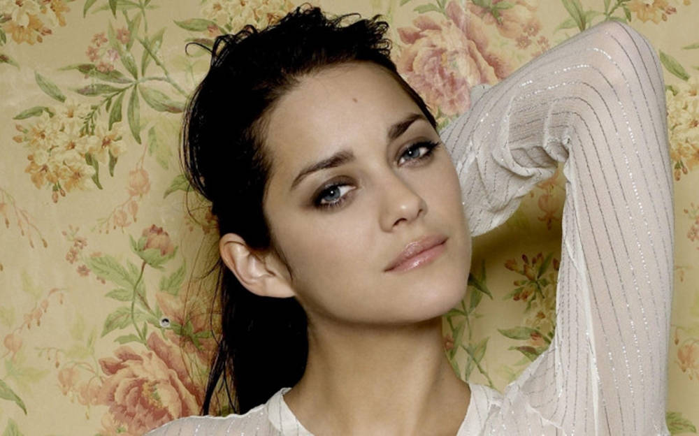 Marion Cotillard Stunning Portrait