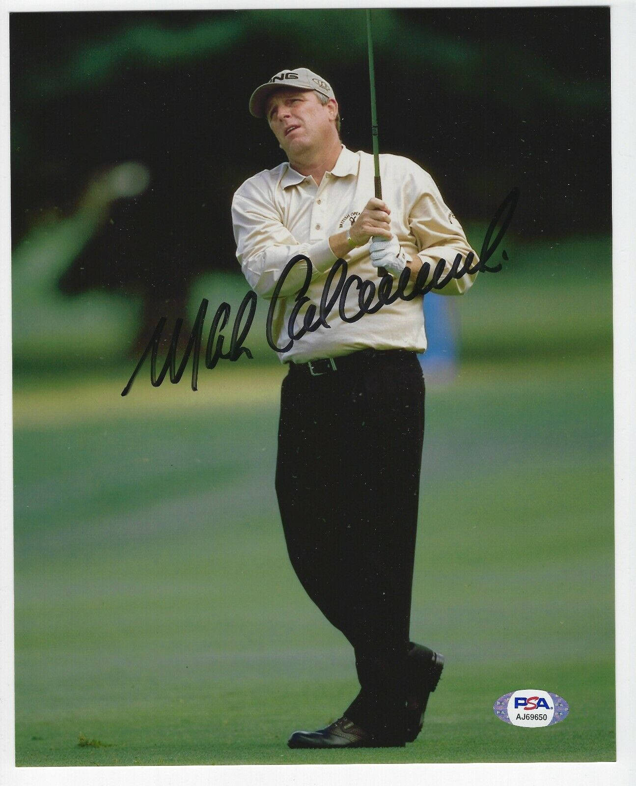 Mark Calcavecchia Pga Autograph Background