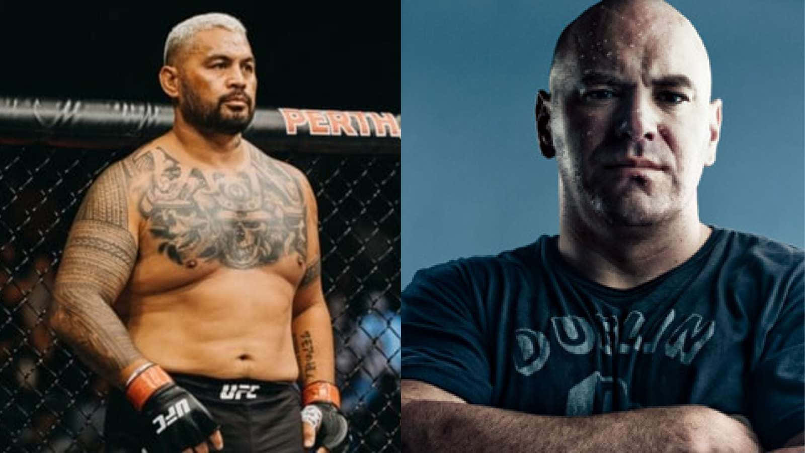 Mark Hunt And Dana White Background