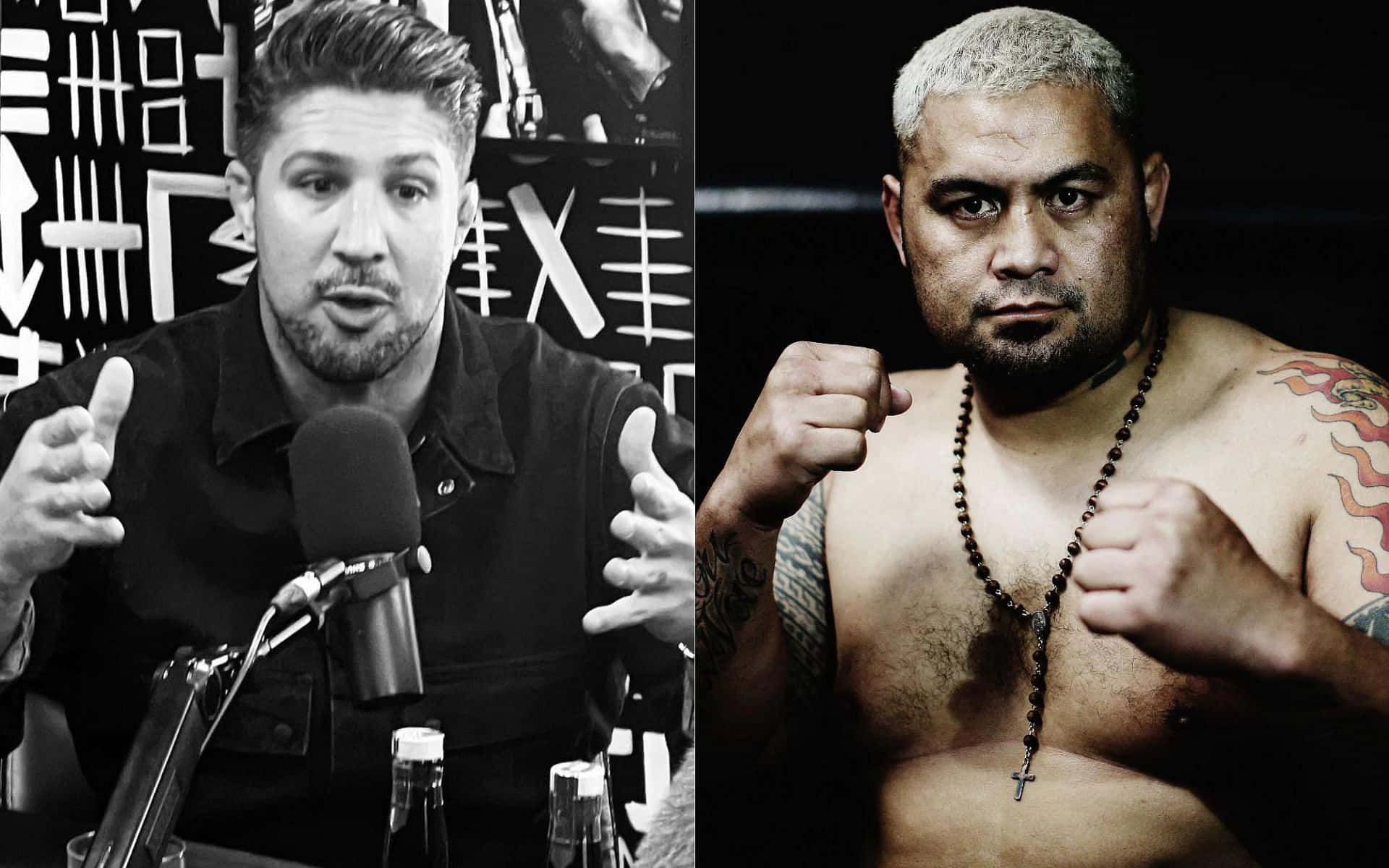 Mark Hunt And His Foe