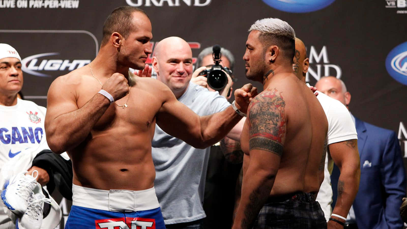 Mark Hunt And Junior Dos Santos Background