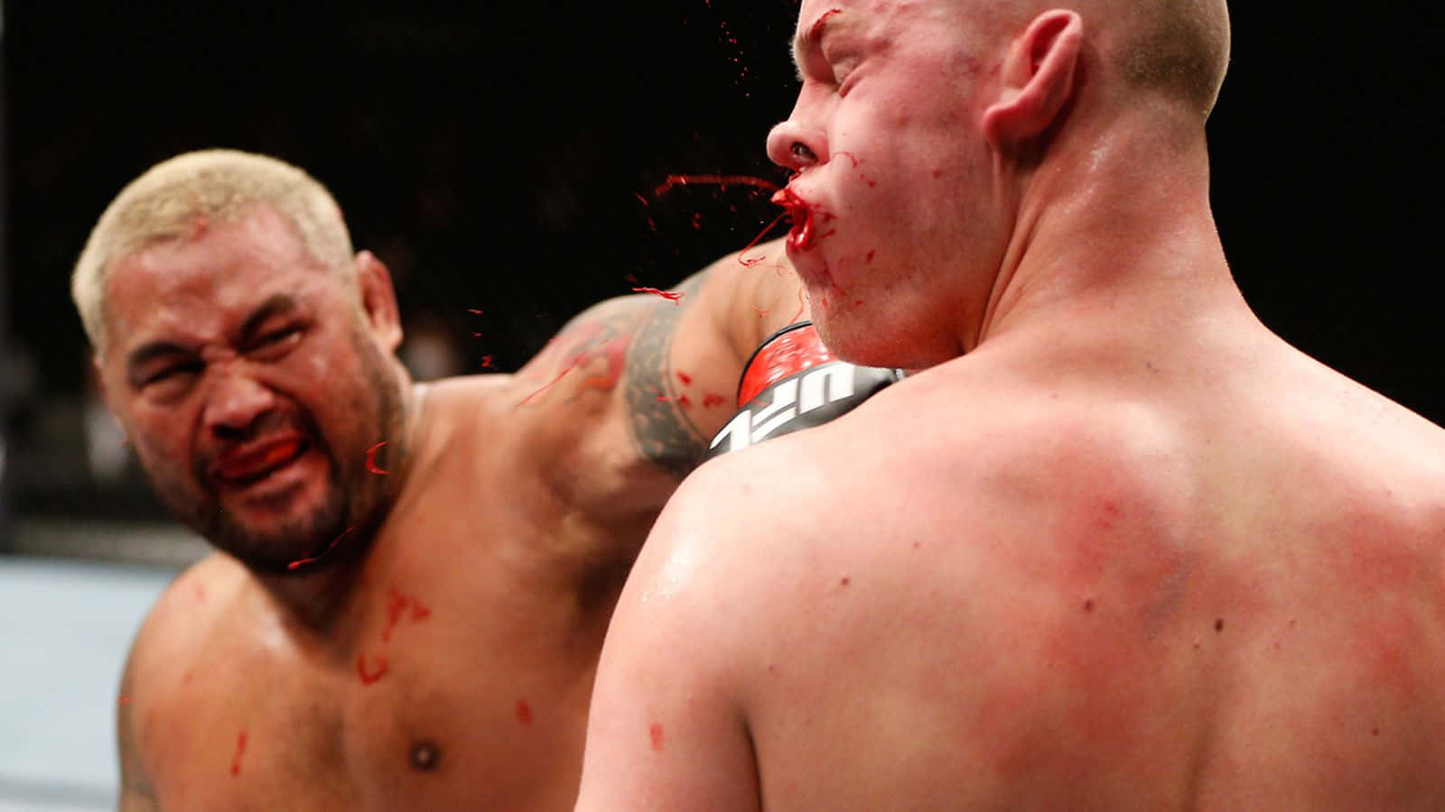 Mark Hunt Bloody Hand Punch Background