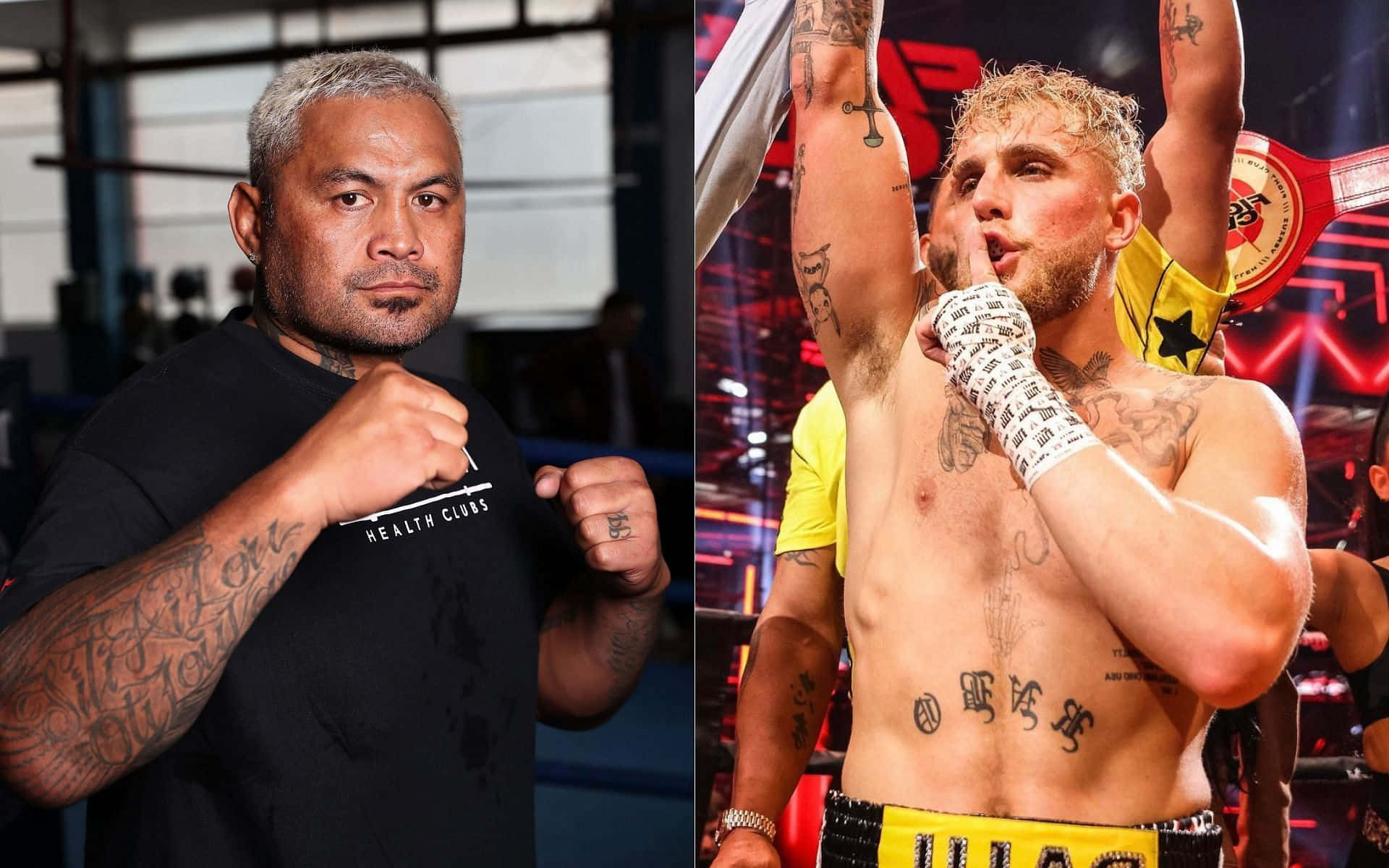 Mark Hunt Kick Boxing Champ Background