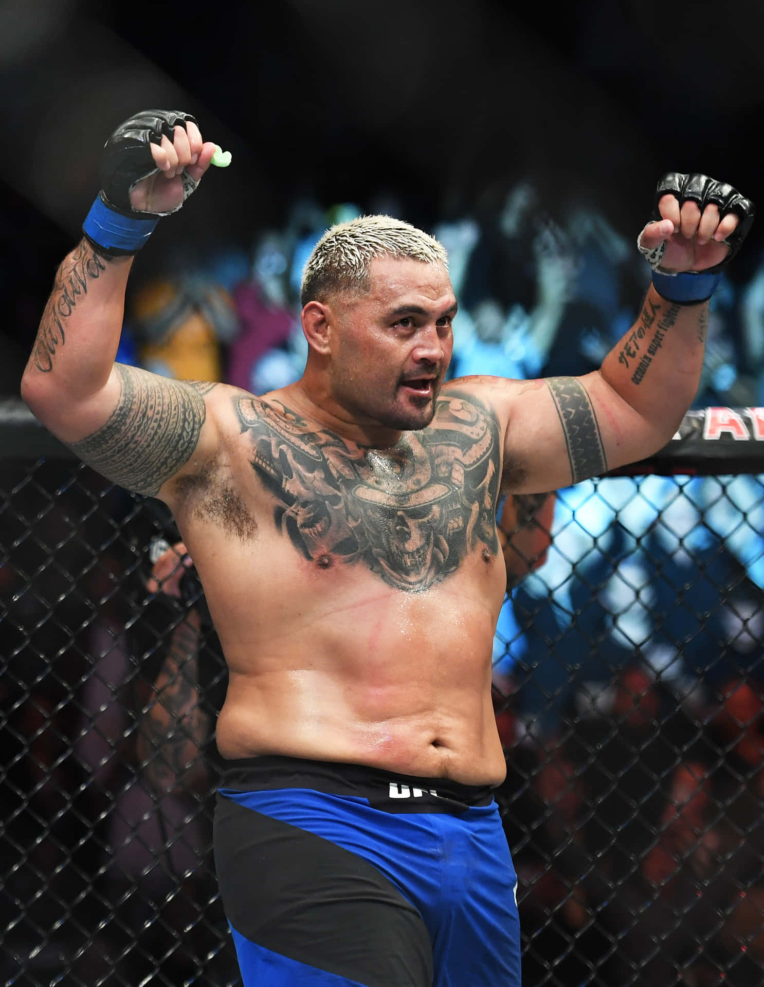 Mark Hunt Raising Arm Background