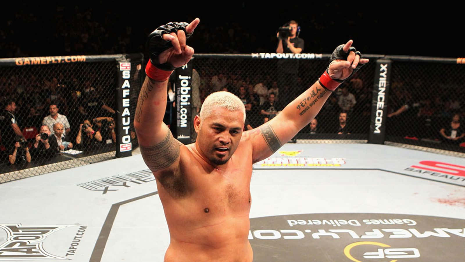 Mark Hunt Ufc Championship Game Background