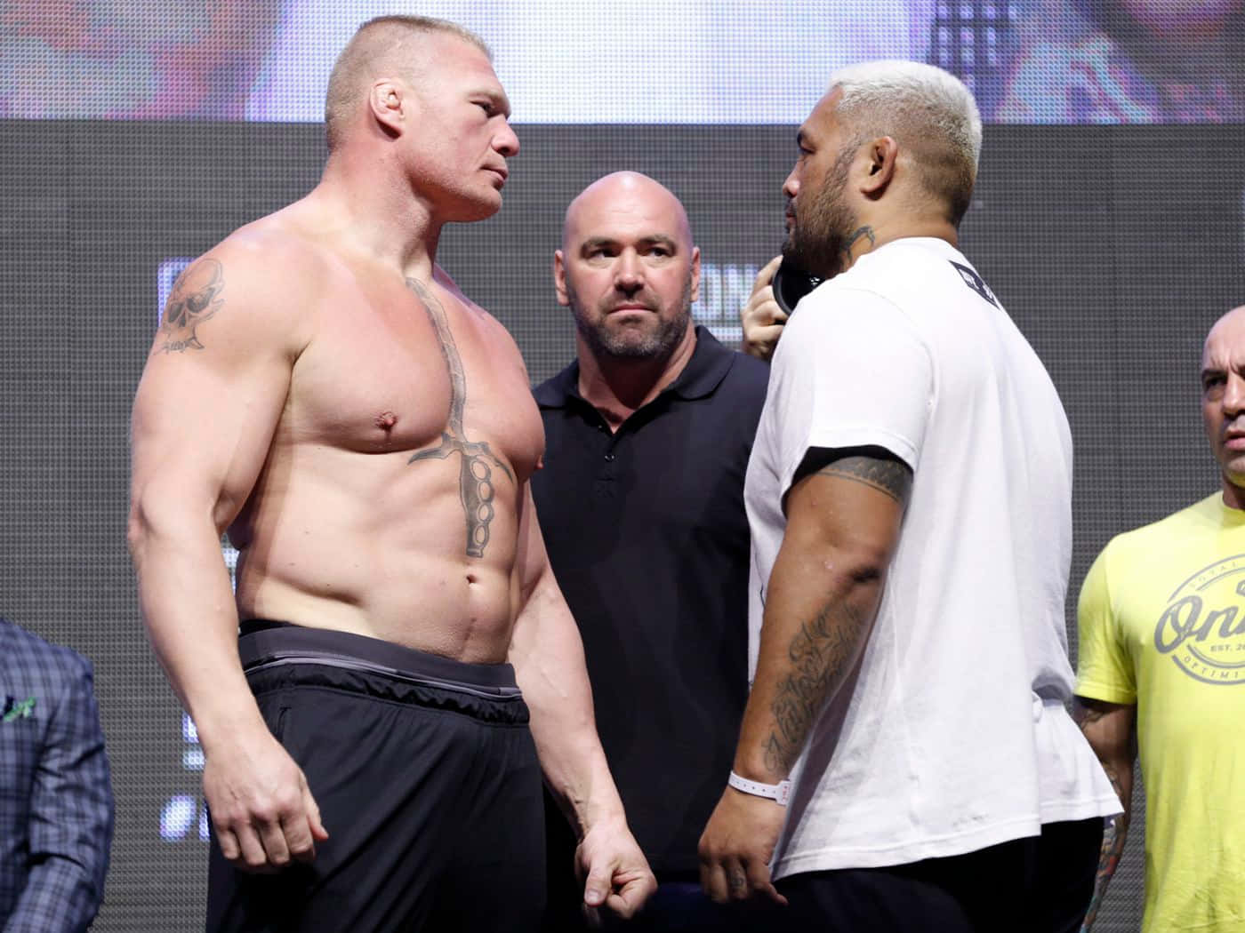 Mark Hunt Versus Brock Lesnar Background