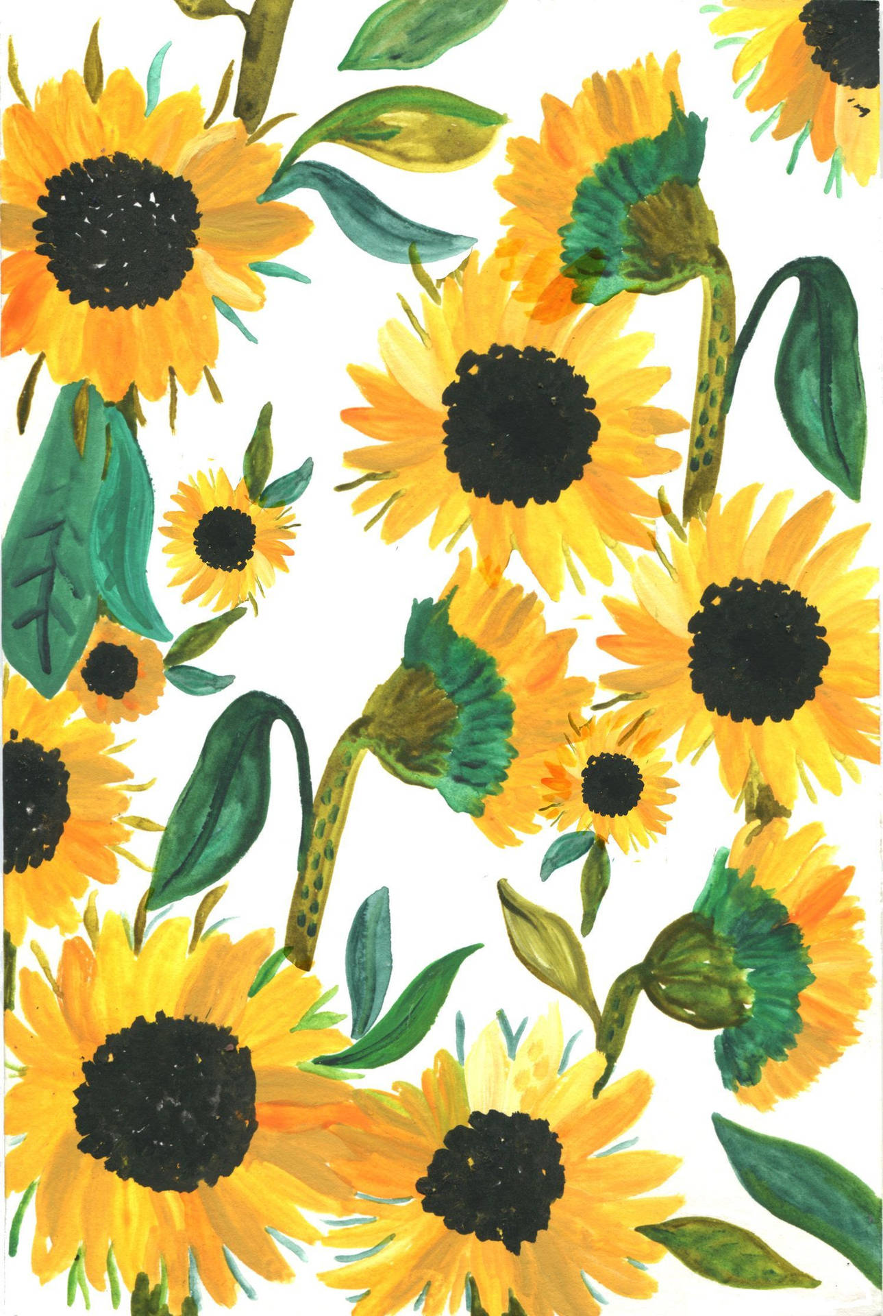 Marker Art Of Sunflower Iphone Background