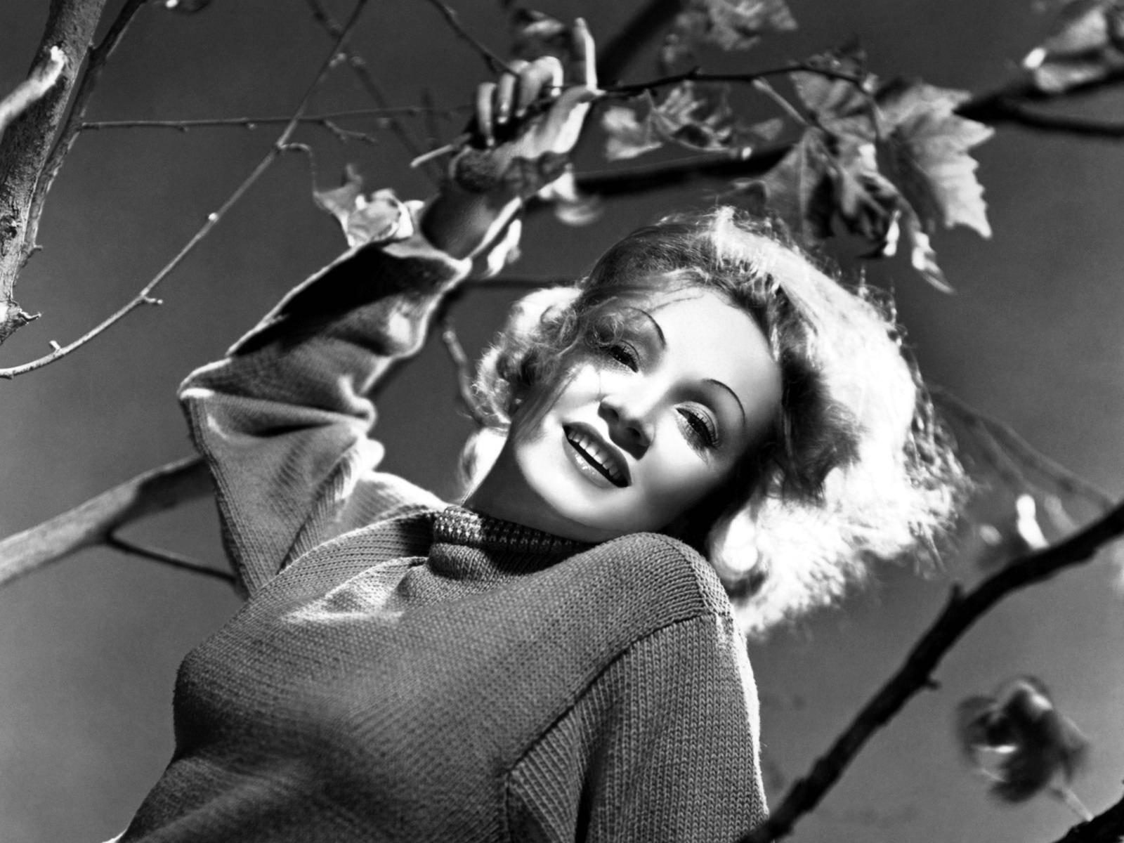 Marlene Dietrich Tree Branches Background