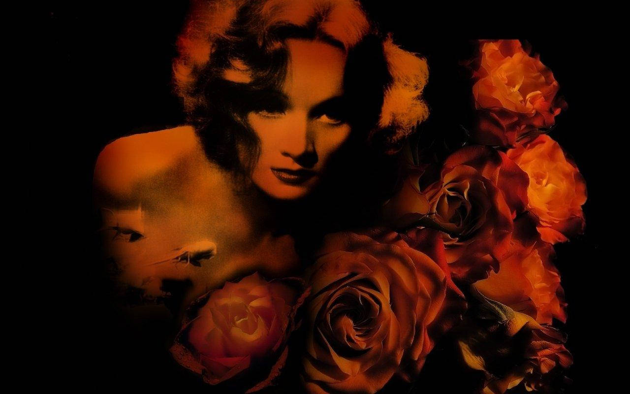 Marlene Dietrich With Orange Roses Background